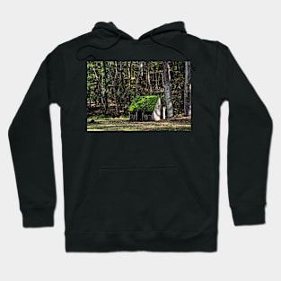 Sheep Shed At Cuttalossa Farm Hoodie